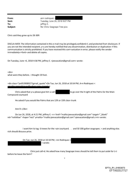 Preview of EFTA02517717