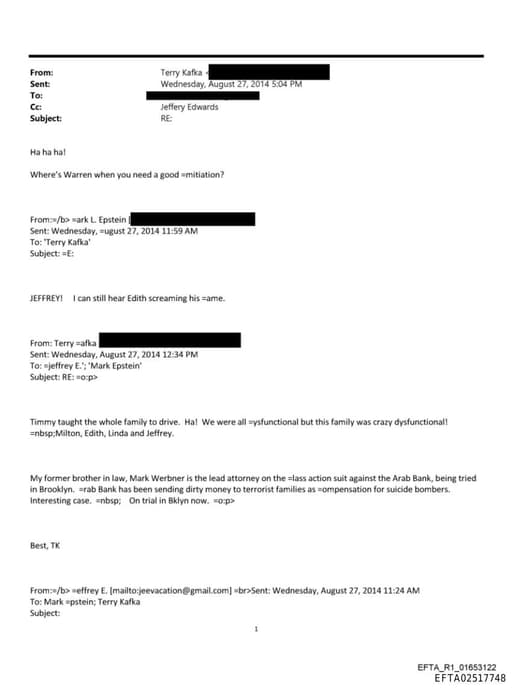 Preview of EFTA02517748