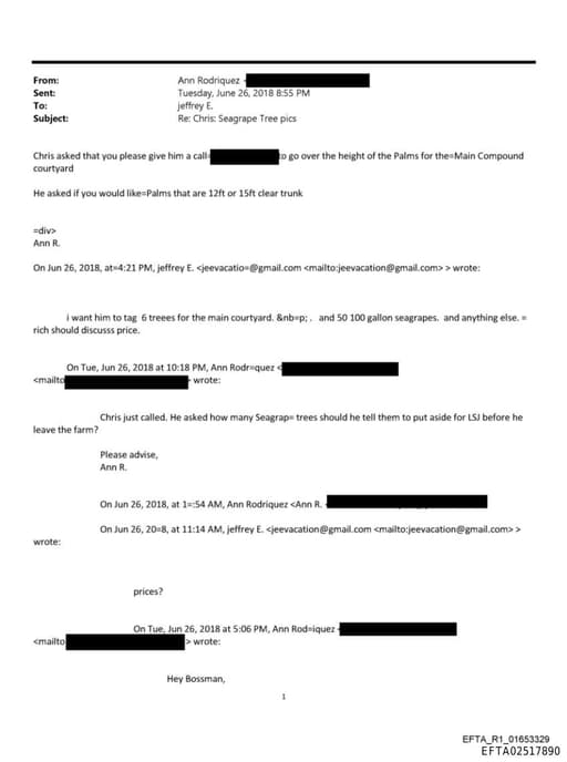 Preview of EFTA02517890