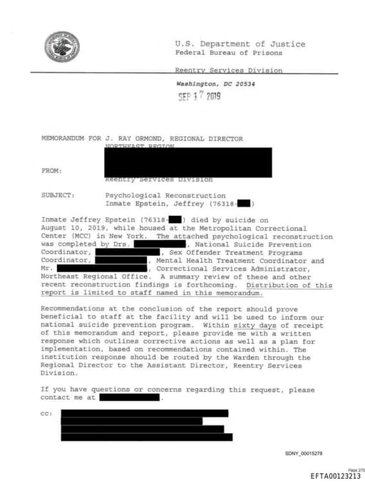 Preview of EFTA00123213