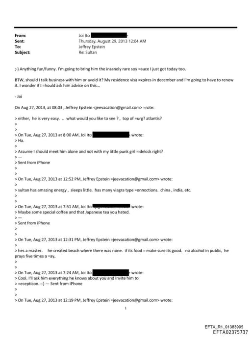 Preview of EFTA02375737