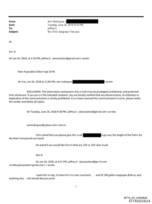 Preview of EFTA02518114