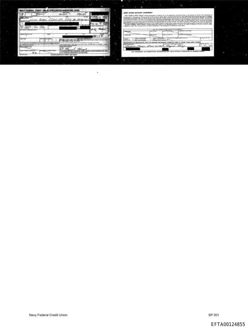 Preview of EFTA00124855