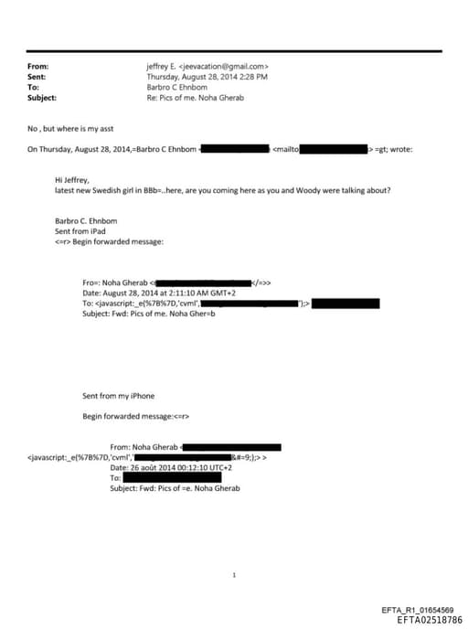 Preview of EFTA02518786