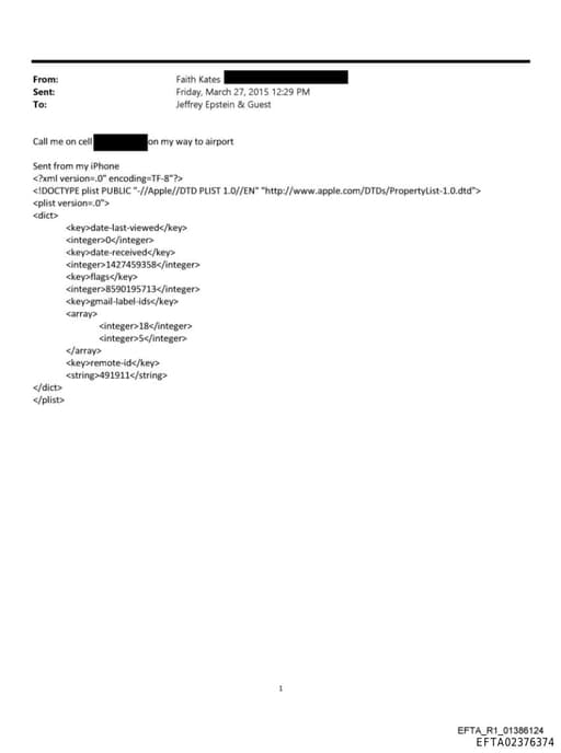 Preview of EFTA02376374