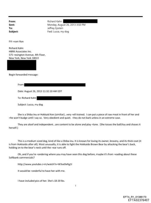 Preview of EFTA02376407