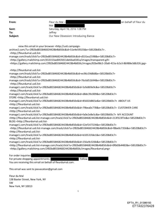 Preview of EFTA02376428