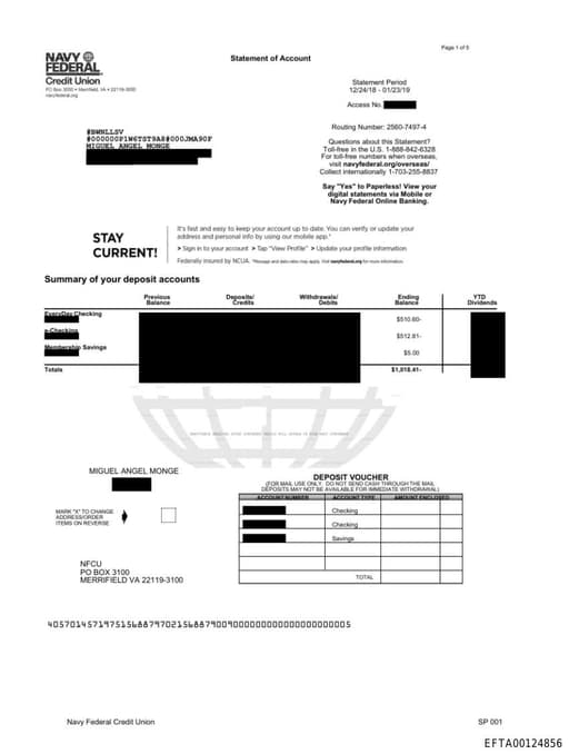 Preview of EFTA00124856