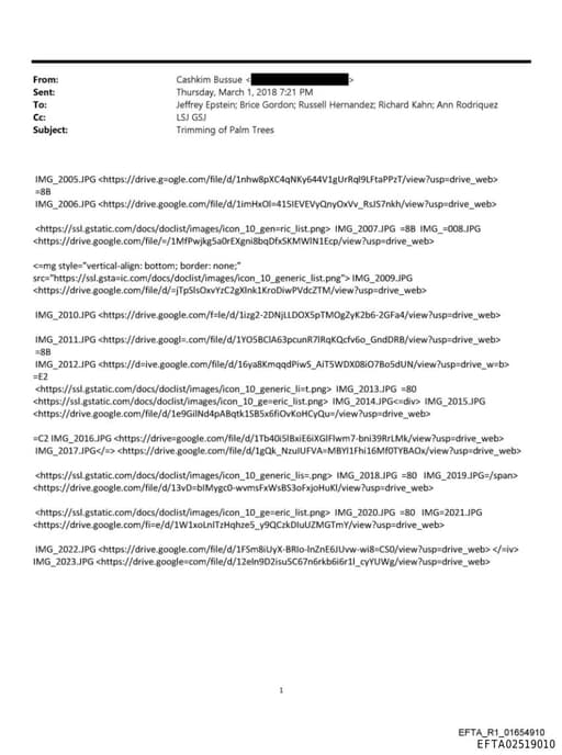 Preview of EFTA02519010