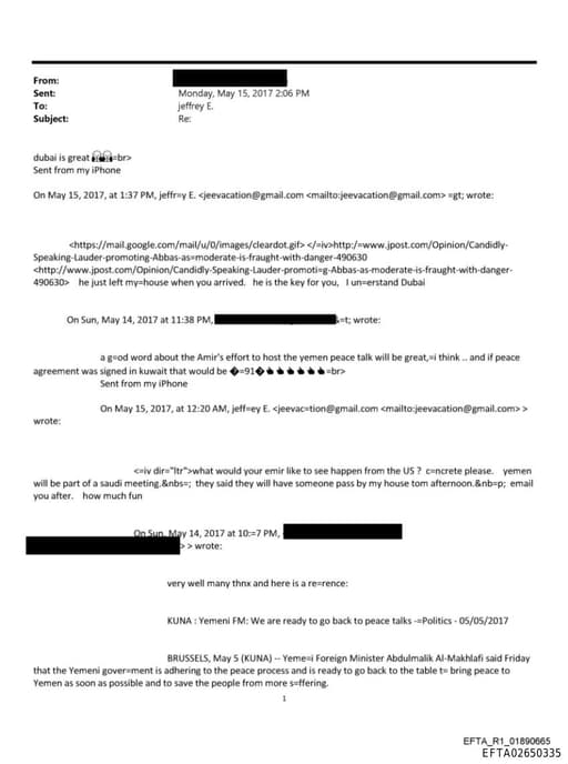 Preview of EFTA02650335