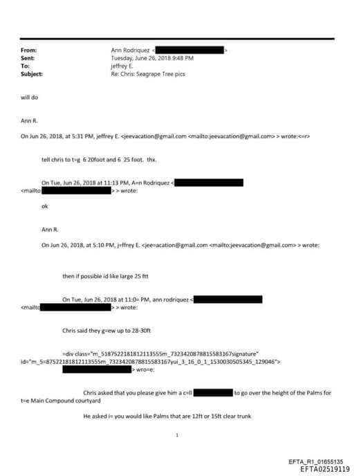 Preview of EFTA02519119