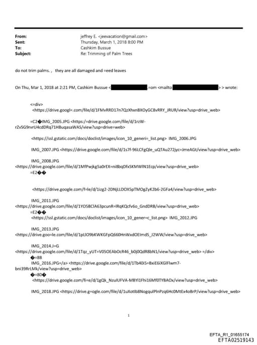 Preview of EFTA02519143