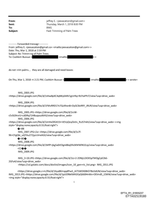 Preview of EFTA02519180