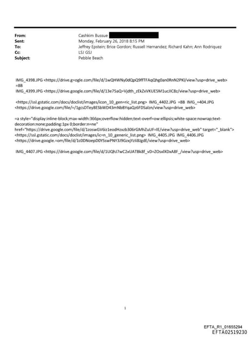 Preview of EFTA02519230