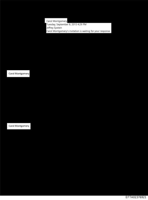 Preview of EFTA02376921