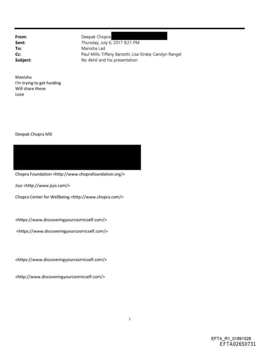 Preview of EFTA02650731