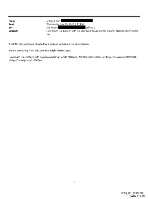 Preview of EFTA02377308