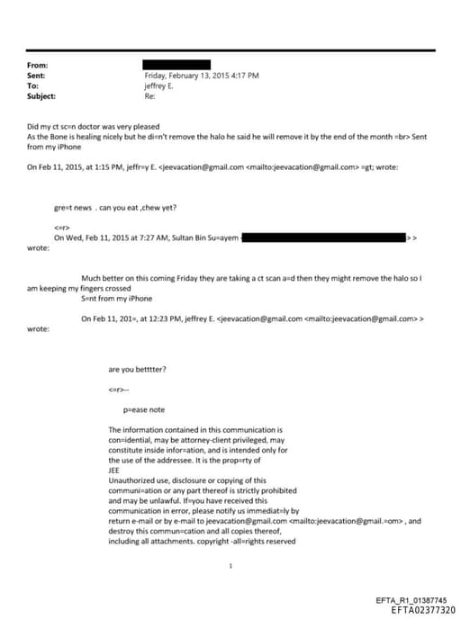 Preview of EFTA02377320