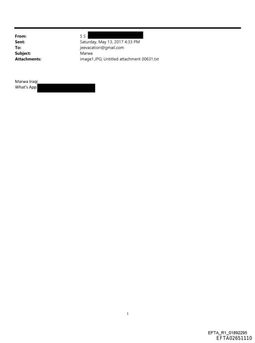 Preview of EFTA02651110