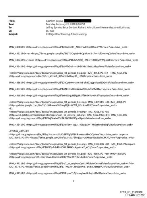 Preview of EFTA02520290