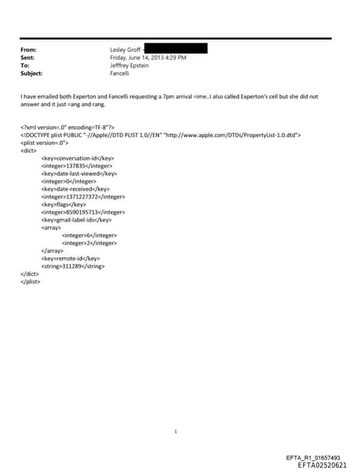 Preview of EFTA02520621