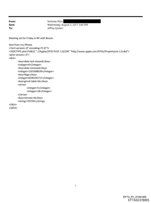 Preview of EFTA02378805