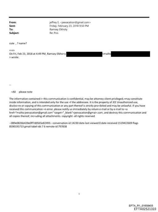 Preview of EFTA02521310