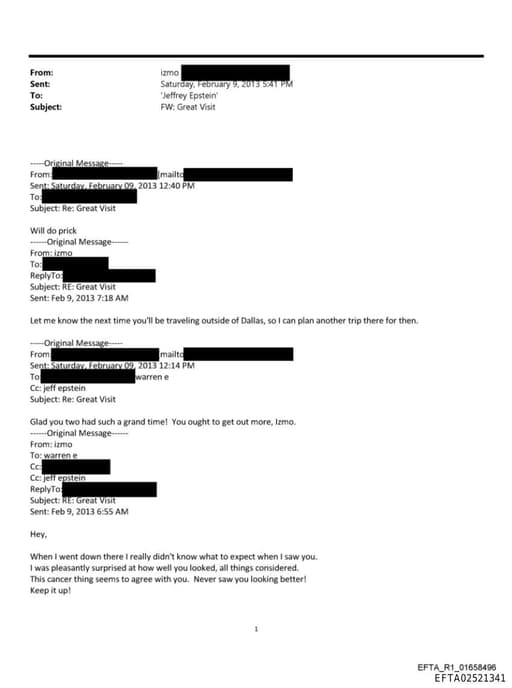 Preview of EFTA02521341