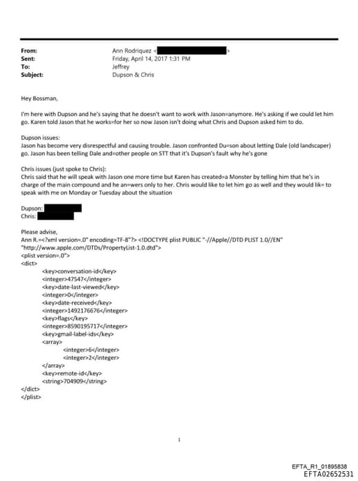 Preview of EFTA02652531