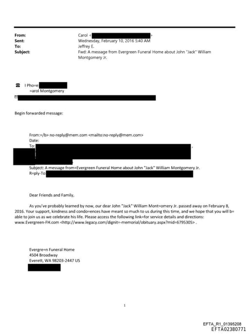 Preview of EFTA02380771