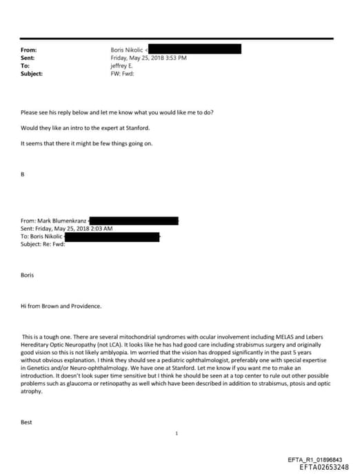 Preview of EFTA02653248