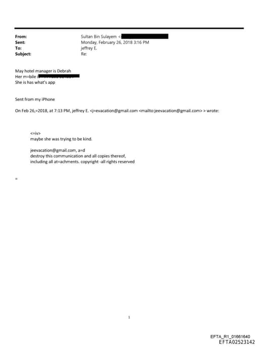 Preview of EFTA02523142