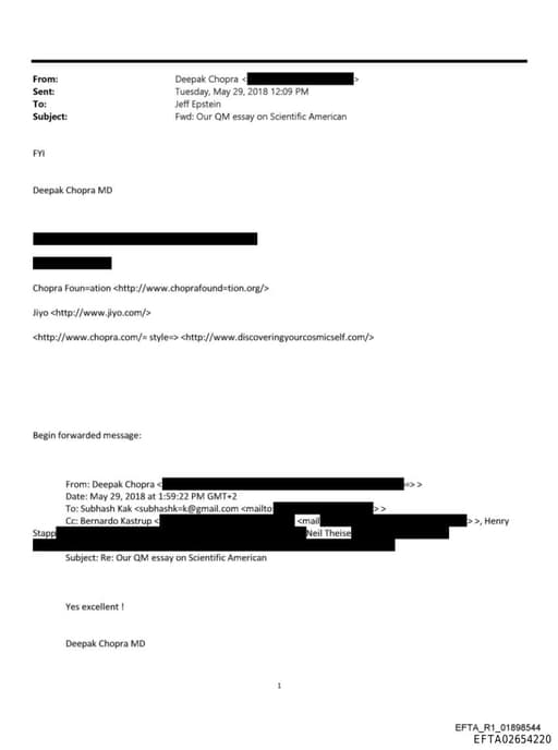 Preview of EFTA02654220