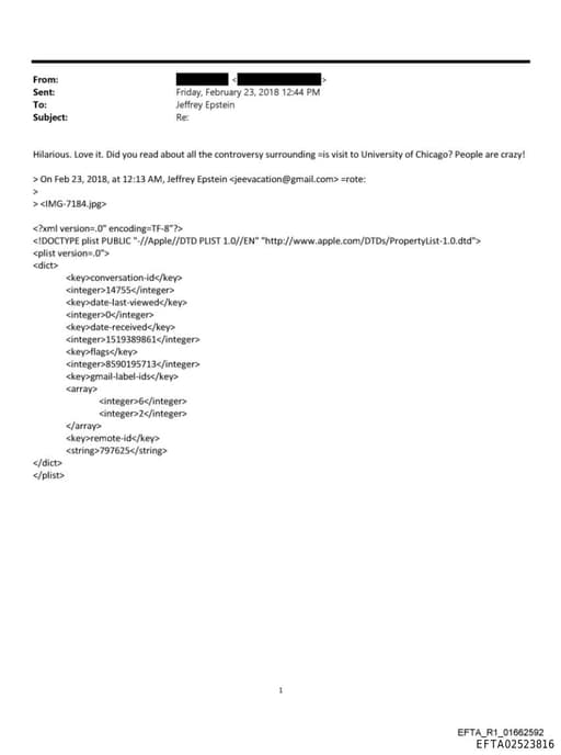 Preview of EFTA02523816