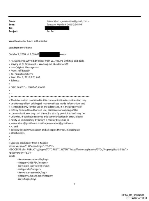 Preview of EFTA02523831