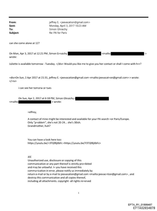 Preview of EFTA02654878