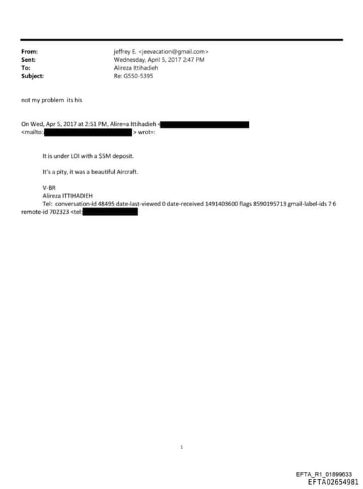 Preview of EFTA02654981