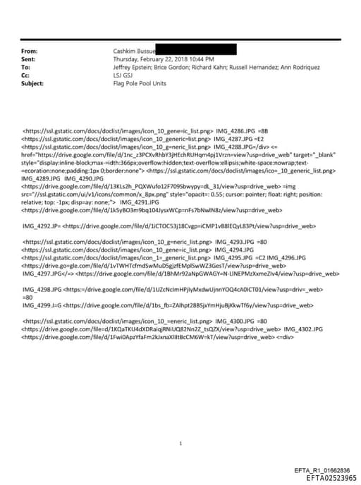 Preview of EFTA02523965