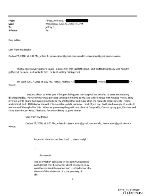 Preview of EFTA02524456