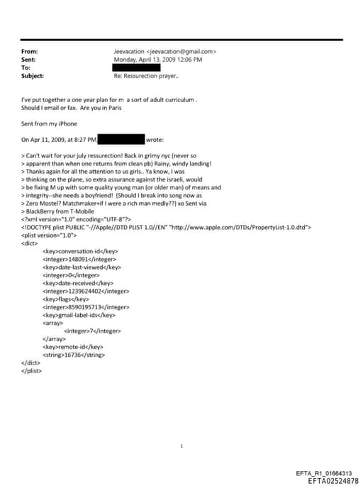 Preview of EFTA02524878