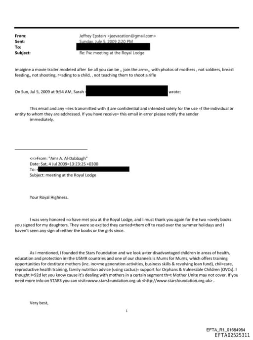 Preview of EFTA02525311