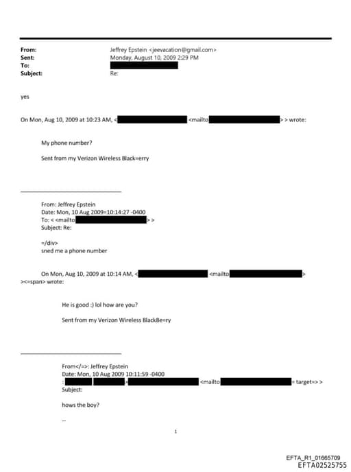 Preview of EFTA02525755