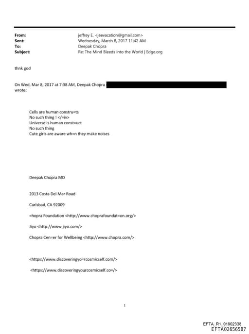 Preview of EFTA02656587