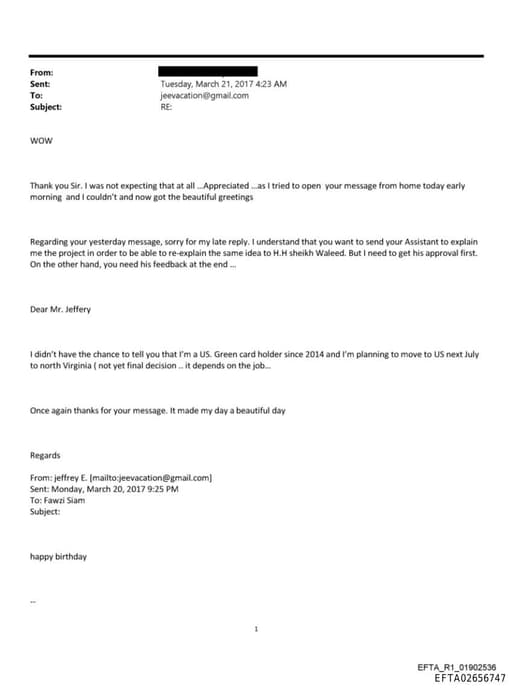 Preview of EFTA02656747