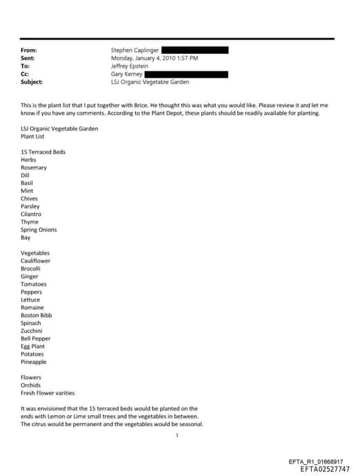 Preview of EFTA02527747