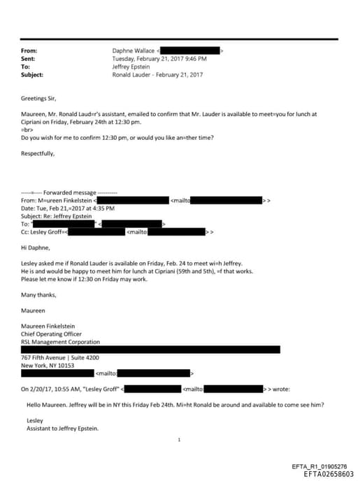 Preview of EFTA02658603