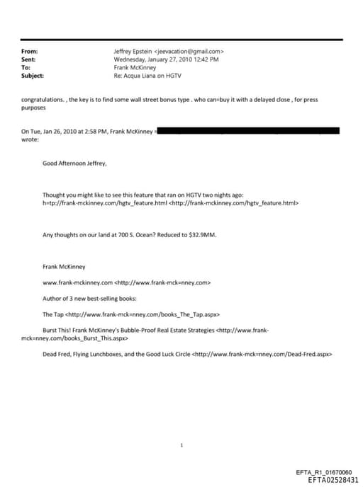 Preview of EFTA02528431