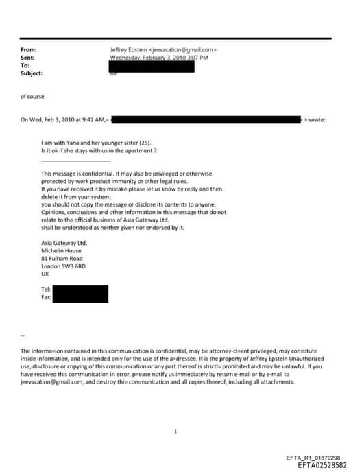 Preview of EFTA02528582