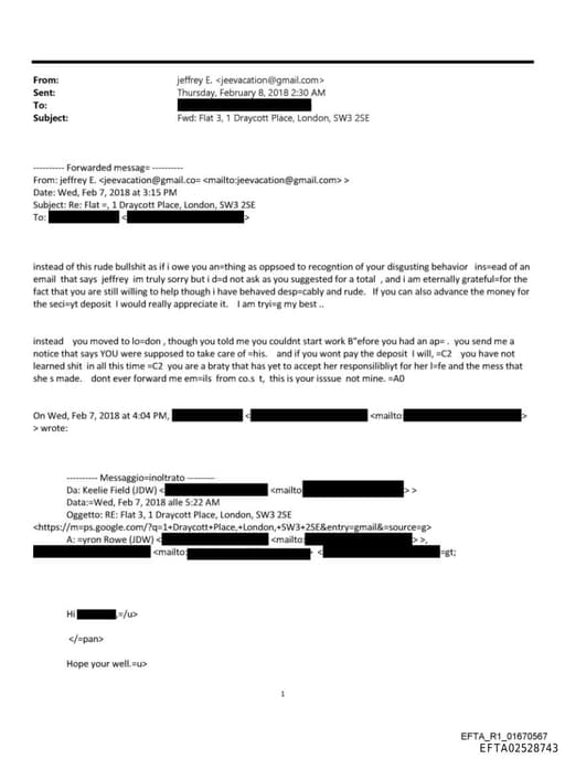 Preview of EFTA02528743