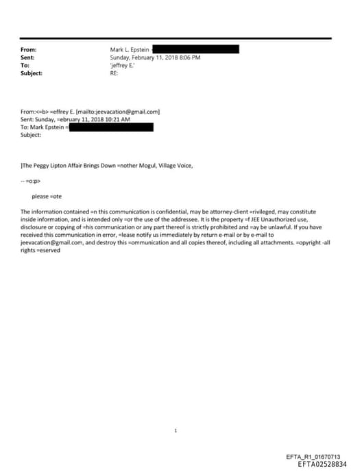 Preview of EFTA02528834